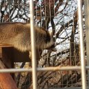 인천대공원(남문) 이미지