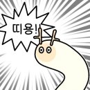 제플린실용음악학원 이미지
