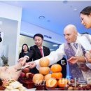 IFC 빌딩 이미지