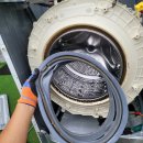 제주배또롱 이미지