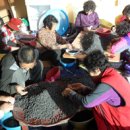 예밀포도마을팜스테이영농조합법인 이미지