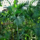 e편한세상 1단지 이미지