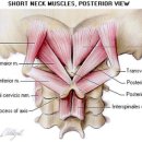 아지트 짐 이미지