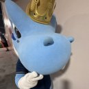 단디 카카오 검색결과