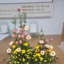 언덕배기꽃식물원 이미지