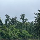 맑은 운동화 빨래방 이미지