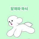 비움 | 문경 독채 펜션 비움 강아지 동반 여행