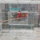 인천조류원 이미지