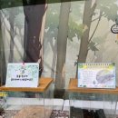 삼척시민체육관 이미지