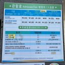 제주특별자치도지체장애인협회서귀포시지회 안덕면분회 | [제주여행] 용머리해안 / 원앤온리 / 칠십리시공원