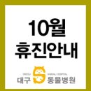 대구S동물병원 이미지