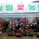 유림문화사 이미지