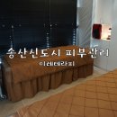 송산부엉이 | 송산신도시 피부관리 이레테라피에서 힐링하고 왔어요