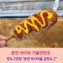 (주)육설모 춘천점 | 춘천 핫도그맛집!! 춘천 박사마을 곰핫도그