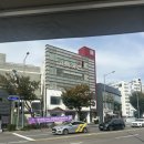 무등산호랭이 이미지