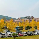 연세대학교 미래캠퍼스 이미지