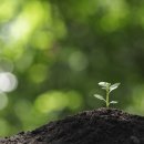 굿모닝자동차서비스 이미지