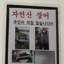 수정장어구이촌 이미지