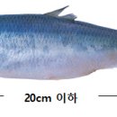 청어람로 이미지