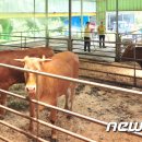한우리 농장 1 뉴스1