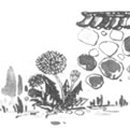 백옥축산 이미지