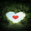 항상좋은날 이미지