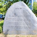 2025년 6월 5일 송도3동 어울림공원 이미지