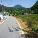 계곡리경로당 Daum카페