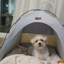 율무상점 | [공지] 어쩌구 저쩌구~🍙