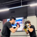 STS BOXING 이미지