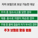 중고차 구입시 침수 피해예방 이력조회방법 이미지