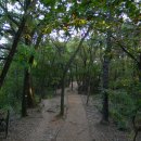 궁동생태공원 이미지