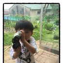 제성유치원 이미지