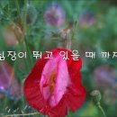 그곳에 두고 온 기억들 (이류 - 남인우) 이미지