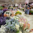 한산시장 이미지