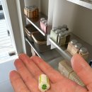 비틀버그(Beetle Bug) | [홍대 수제캔디] 선물하기 좋은 비틀버그 (Beetle Bug)