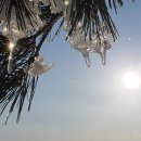 덕구온천콘도 이미지