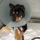 구미옥계동물병원 이미지