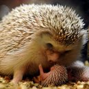 용산-189 이미지