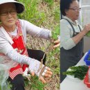 하)생활도예 이미지