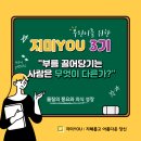 지미돈 이미지