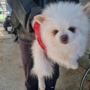 양산대로 이미지