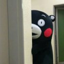 킹콩 실내낚시터 이미지