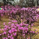 雨中散策 이미지
