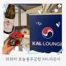 모닝캄 | 하와이 호놀룰루공항 대한항공 KAL라운지 이용후기,모닝캄 혜택과 이용 꿀팁 총정리!