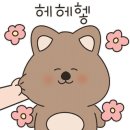 멜로네일 - 전주시 완산구 봉곡로 119 | 멜로네일