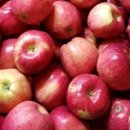 영길농장 이미지