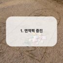 영종모래내한의원 이미지