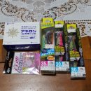 부산오징어 이미지