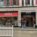 아보카(AVOCA) 이미지